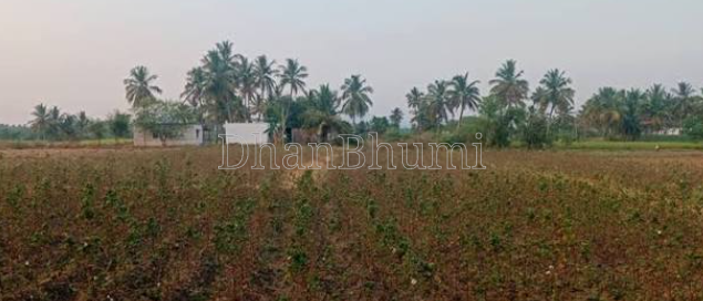 property_images/agricultural_in_jaipur_1791015203_6ac0b92395cd9.png