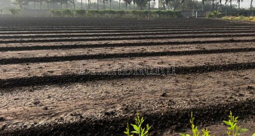 property_images/agricultural_in_jaipur_1791015475_6ac0ba33ee475.png