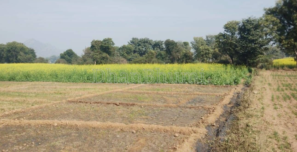 property_images/agricultural_in_jaipur_1791015837_6ac0bb9d4b879.png