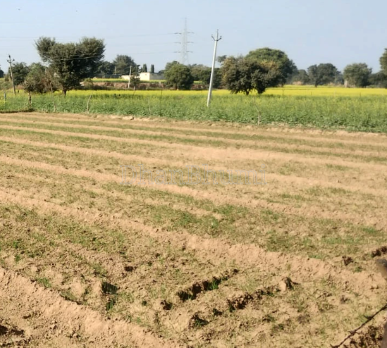 property_images/agricultural_in_jaipur_1791016172_6ac0bcec46d2d.png