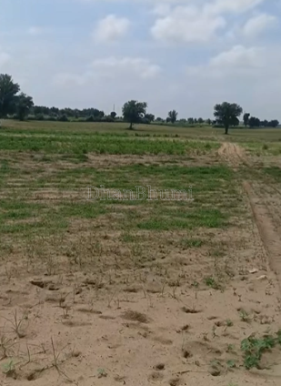 property_images/agricultural_in_jaipur_1792141634_6ad1e942145f5.png