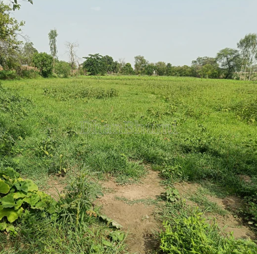 property_images/agricultural_in_jajpur_1787740726_6a8ec236c4e3e.PNG