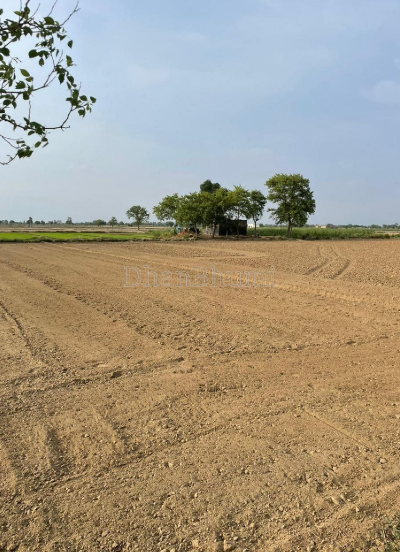 property_images/agricultural_in_jalaun_1781700912_6a329930d61f2.PNG