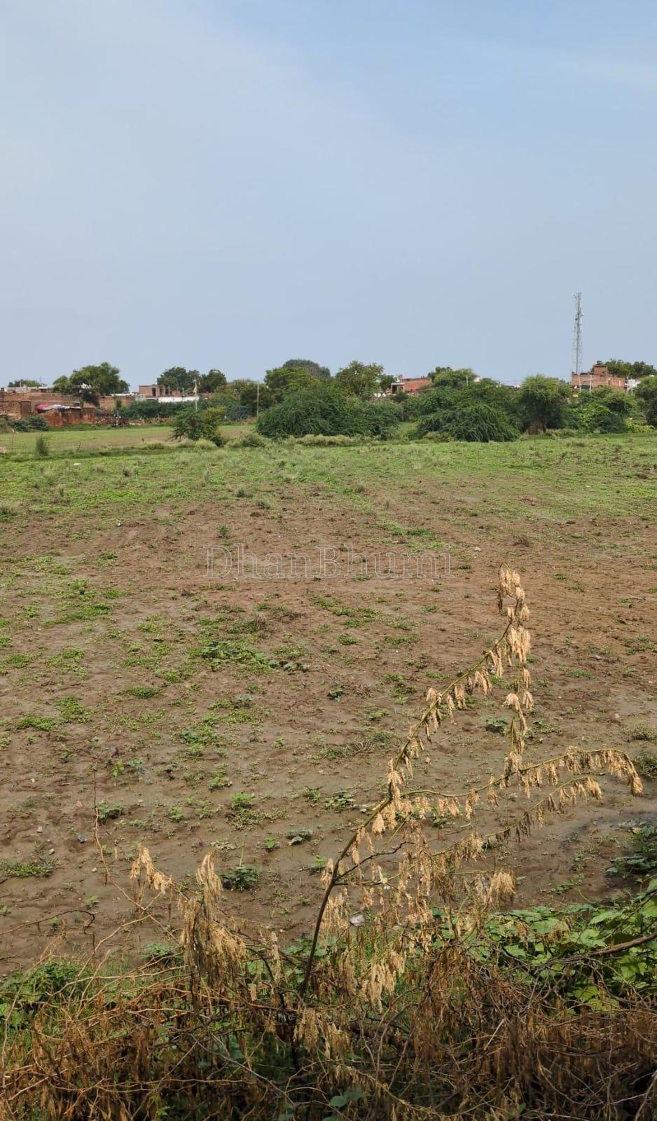 property_images/agricultural_in_jalaun_1786685436_6a7ea7fc8066f.jpeg