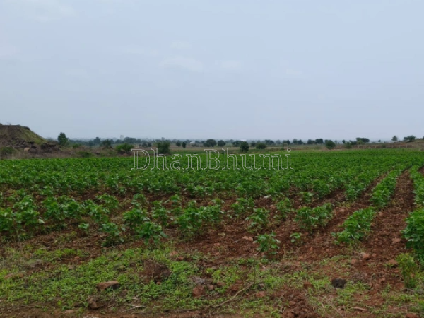 property_images/agricultural_in_jalaun_1790680350_6abb9d1eca1b8.PNG