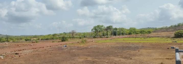 property_images/agricultural_in_jalna_1784532610_6a5dce82d364e.jpg