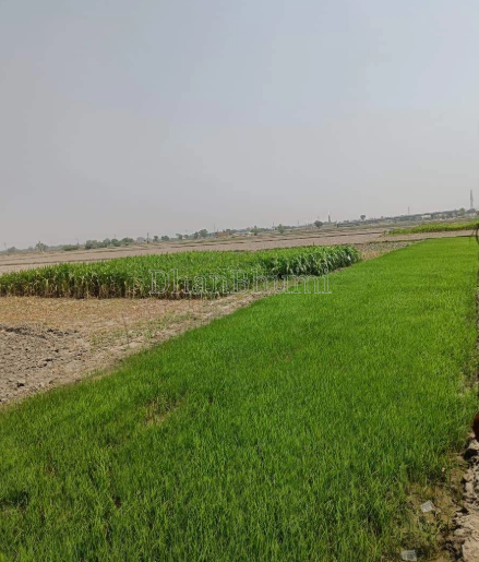 property_images/agricultural_in_jalpaiguri_1791203289_6ac397d9087b3.png