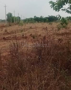 property_images/agricultural_in_jamtara_1790684969_6abbaf2991fb0.png