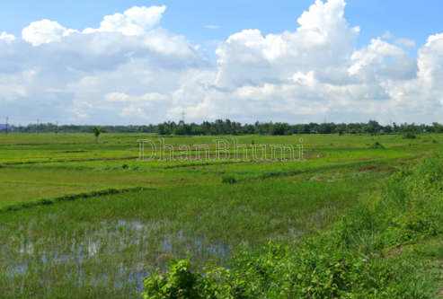 property_images/agricultural_in_janjgir_champa_1788949116_6aa1327c16368.png
