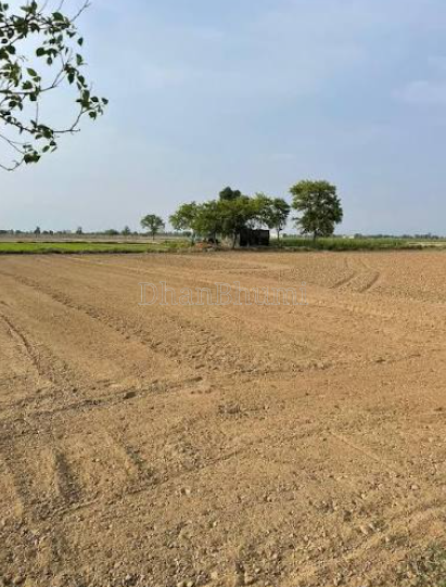 property_images/agricultural_in_jaunpur_1782464618_6a3e406a44863.png