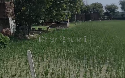 property_images/agricultural_in_jaunpur_1786685781_6a7ea95536b1f.png