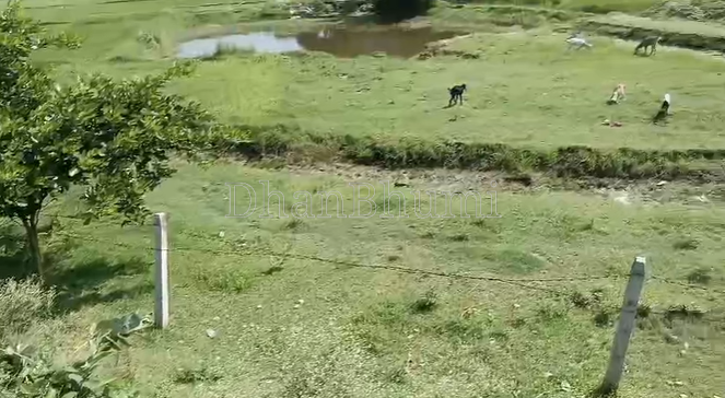 property_images/agricultural_in_jaunpur_1786685943_6a7ea9f744ceb.png