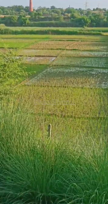 property_images/agricultural_in_jaunpur_1786691891_6a7ec13358587.png