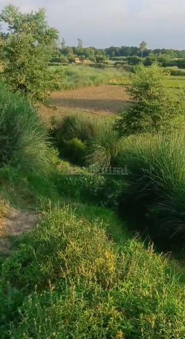 property_images/agricultural_in_jaunpur_1786691891_6a7ec13376db6.png