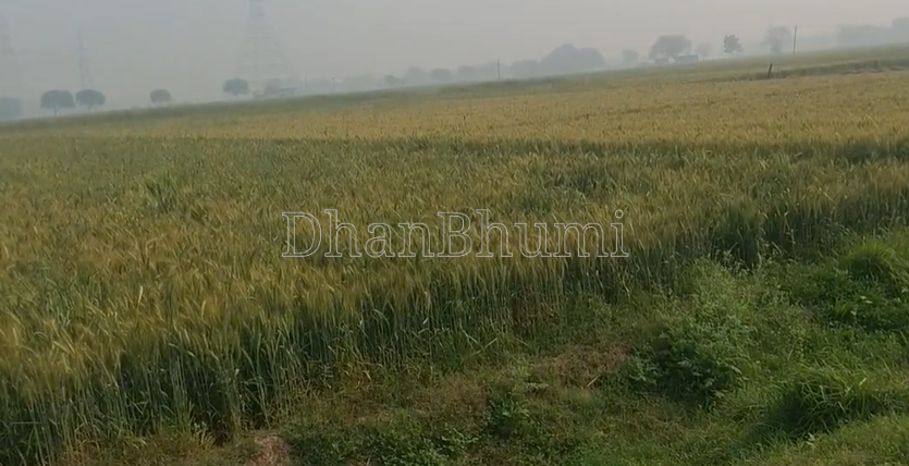 property_images/agricultural_in_jaunpur_1789729824_6aad1c208d7a9.png