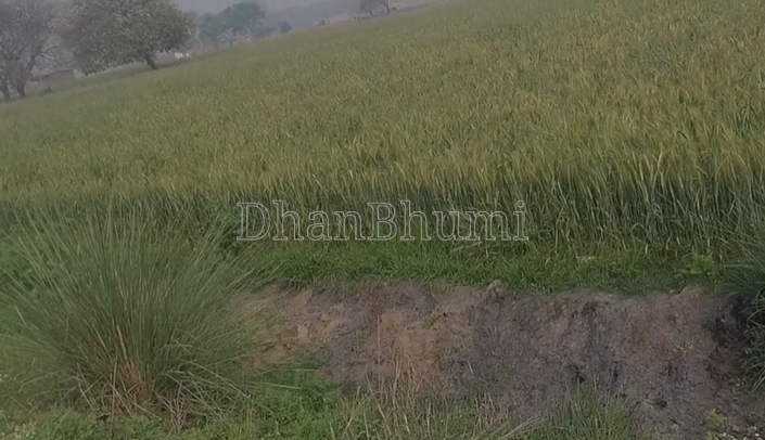 property_images/agricultural_in_jaunpur_1789729824_6aad1c20b9950.png