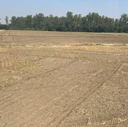 property_images/agricultural_in_jaunpur_1789730888_6aad2048e4669.png