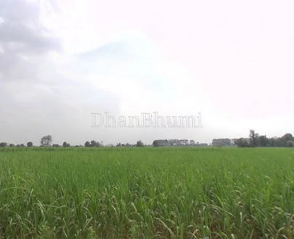 property_images/agricultural_in_jaunpur_1790074290_6ab25db2833ec.png
