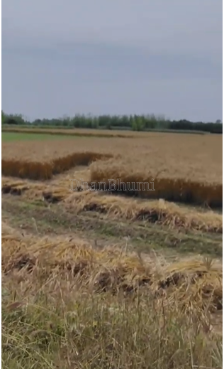 property_images/agricultural_in_jhalawar_1790068313_6ab246596f21f.png