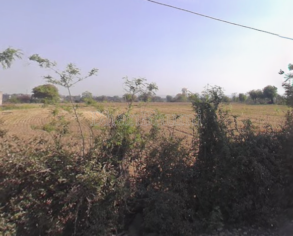 property_images/agricultural_in_jhalawar_1790236205_6ab4d62d6bbe7.png