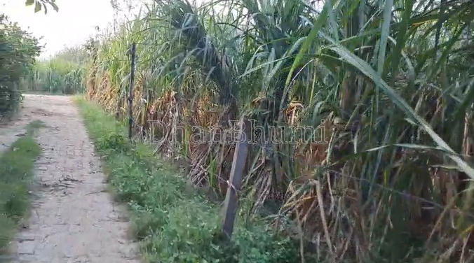 property_images/agricultural_in_jhalawar_1790836199_6abdfde71c686.png