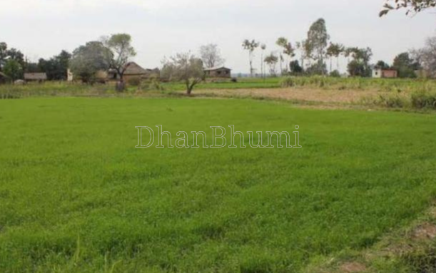 property_images/agricultural_in_jhunjhunu_1785925221_6a730e6596221.png