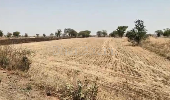 property_images/agricultural_in_jodhpur_1786959084_6a82d4ec1f556.png