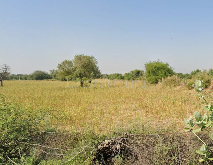 property_images/agricultural_in_jodhpur_1788508748_6a9a7a4c1111d.png