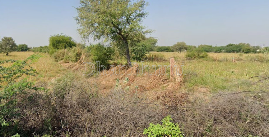 property_images/agricultural_in_jodhpur_1788508748_6a9a7a4c2fa6c.png