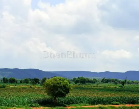 featured_img