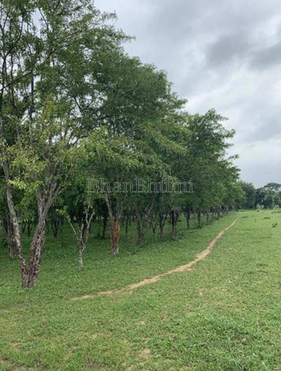 property_images/agricultural_in_jodhpur_1792045898_6ad0734ac897a.PNG
