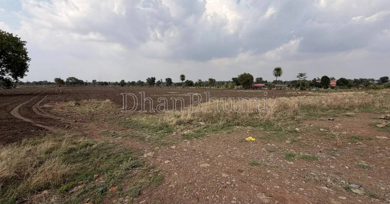 property_images/agricultural_in_kadi_1783076140_6a47952ccc663.png