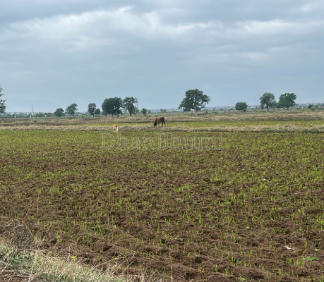 property_images/agricultural_in_kakinada_1789195970_6aa4f6c2ef77d.png