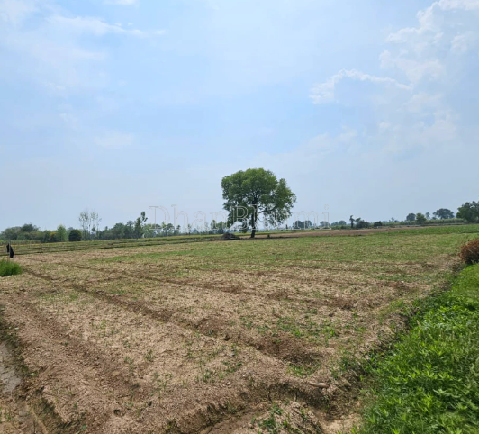 property_images/agricultural_in_kakinada_1789196167_6aa4f7879836f.png
