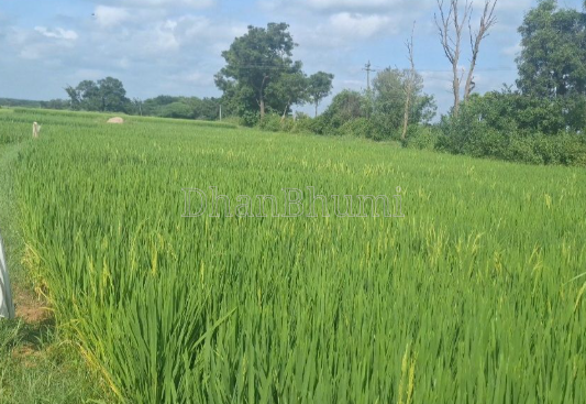 property_images/agricultural_in_kanpur_1787302440_6a8812281ee64.png