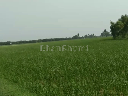 property_images/agricultural_in_kanpur_1787304317_6a88197d3b0af.png