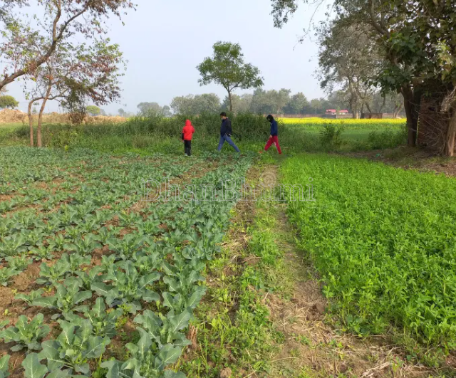 property_images/agricultural_in_kanpur_1789973085_6ab0d25d17b30.PNG