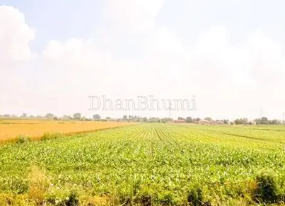 featured_img
