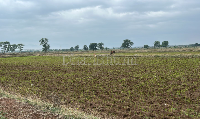 property_images/agricultural_in_kanpur_nagar_1789197576_6aa4fd08928dd.png