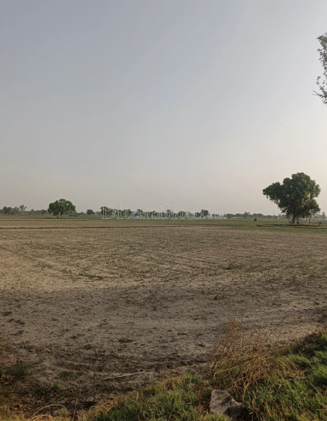 property_images/agricultural_in_kapurthala_1788173993_6a955ea977afd.png
