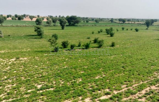 property_images/agricultural_in_karauli_1786957468_6a82ce9c9befe.png