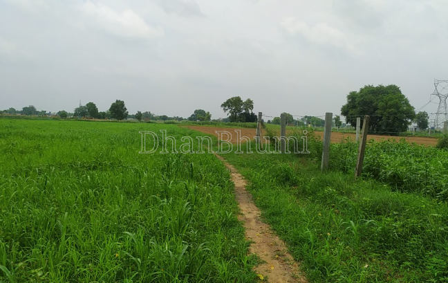 featured_img