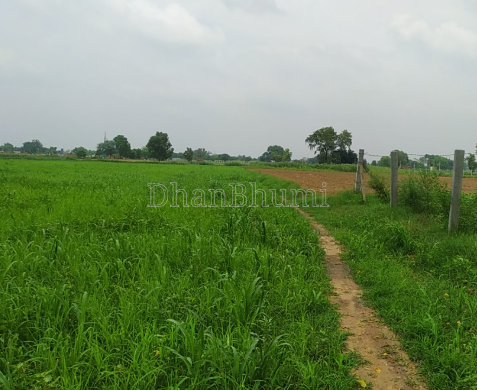 property_images/agricultural_in_karnal_1782124699_6a39109b95610.PNG