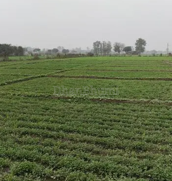 featured_img