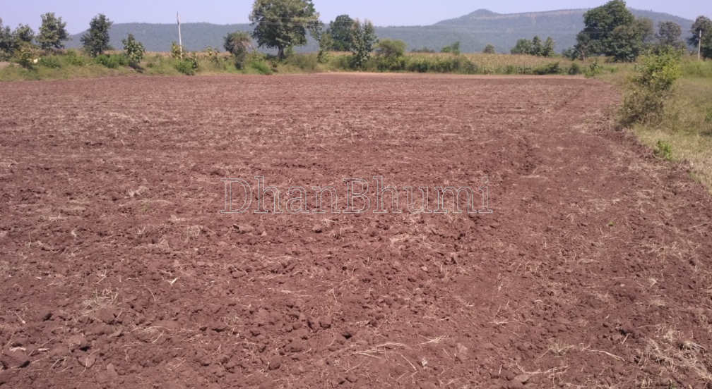 property_images/agricultural_in_katni_1790235668_6ab4d4149ee0d.png
