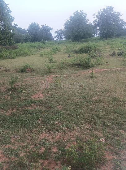 property_images/agricultural_in_katni_1791975654_6acf60e68b356.png