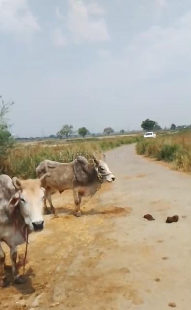 property_images/agricultural_in_kaushambi_1780901447_6a2666475f517.jpg
