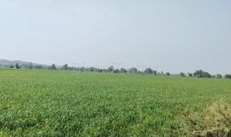 property_images/agricultural_in_khandwa_1789386558_6aa7df3e7a2b4.png