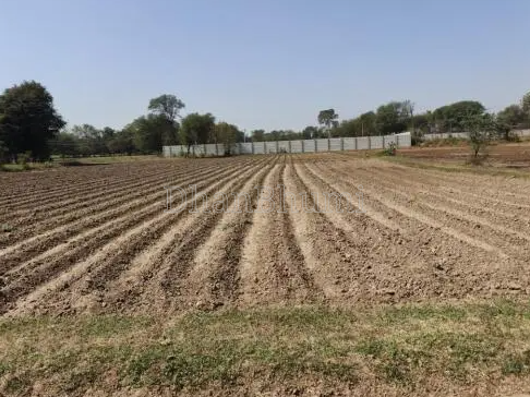 property_images/agricultural_in_khargone_1792063103_6ad0b67f899e4.png