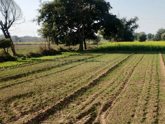 property_images/agricultural_in_khargone_1792063272_6ad0b72836c49.png